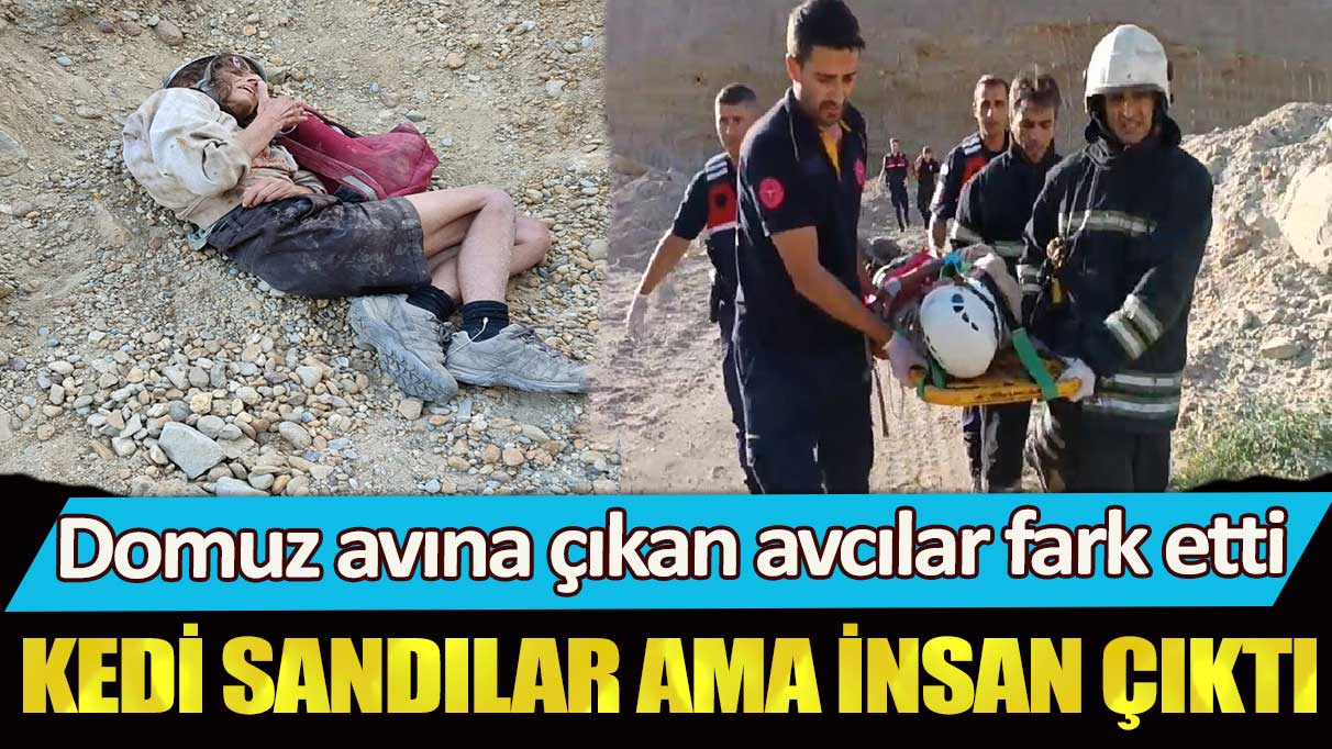 Tekirdağ’da domuz avına çıkan avcılar fark etti: Kedi sandılar ama insan çıktı