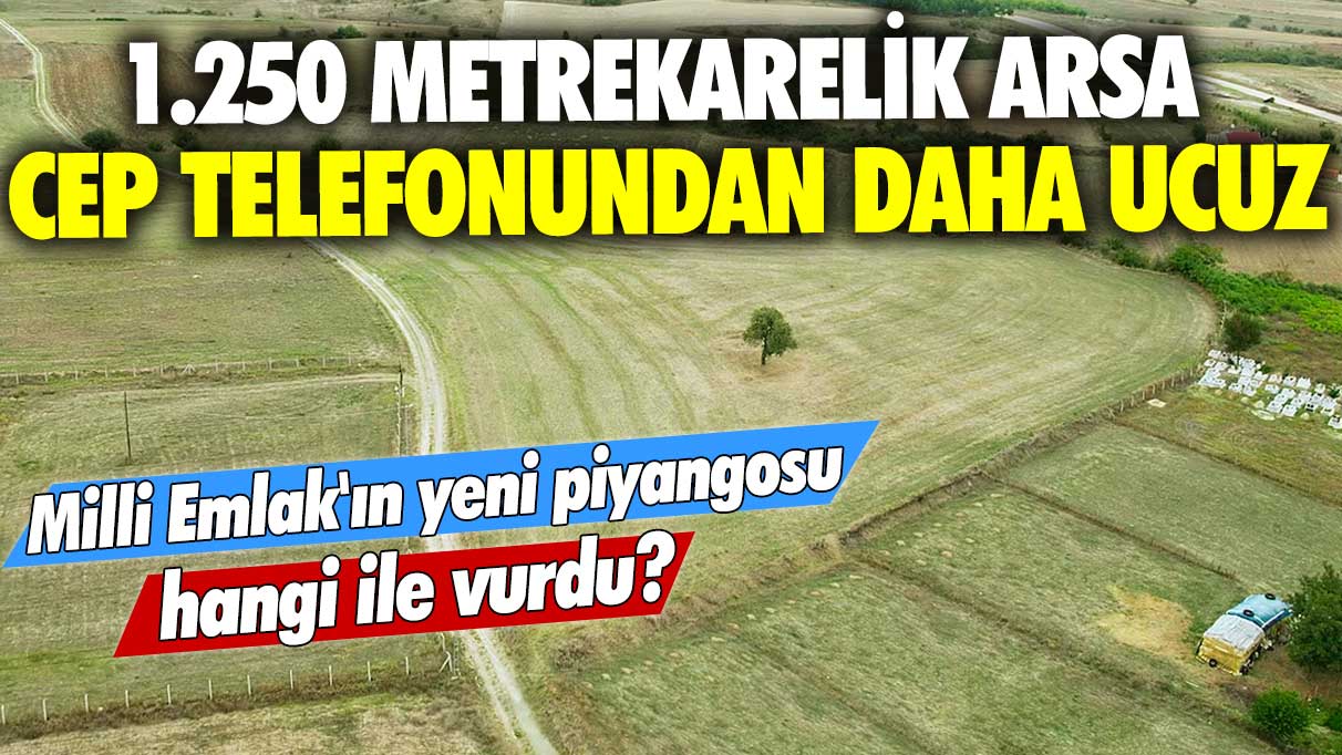 Milli Emlak'ın yeni piyangosu hangi ile vurdu? 1.250 metrekarelik arsa cep telefonundan daha ucuz