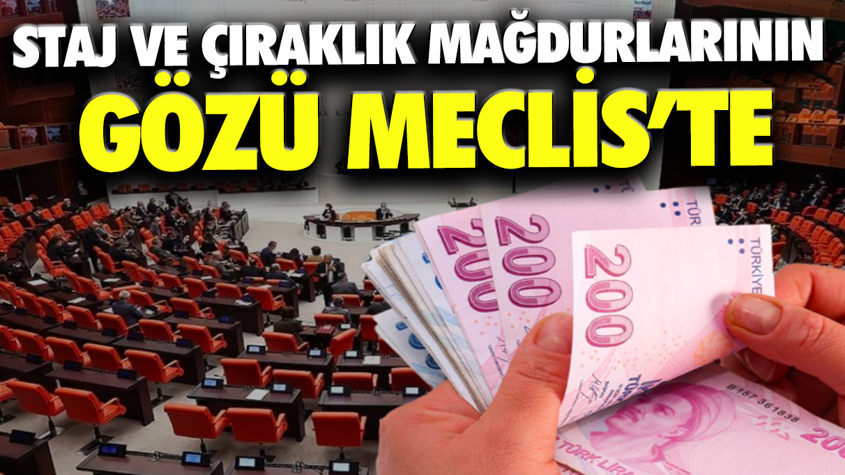 Staj ve çıraklık mağdurlarının gözü Meclis’te