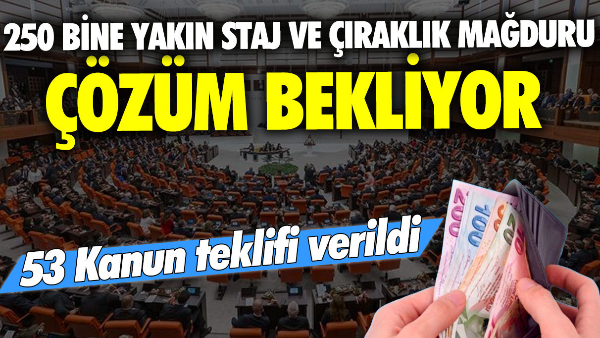 53 Kanun teklifi verildi... 250 bine yakın staj ve çıraklık mağduru çözüm bekliyor