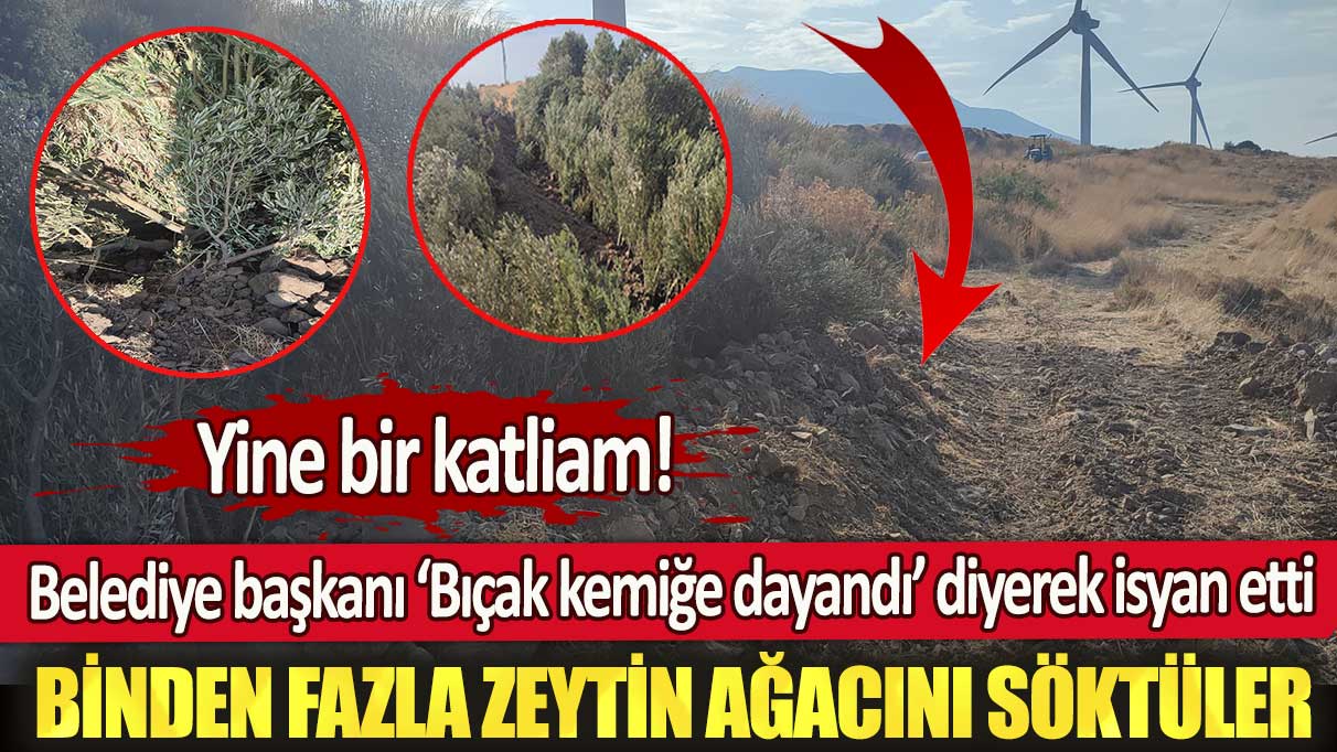 Karaburun Belediye Başkanı bıçak kemiğe dayandı diyerek isyan etti