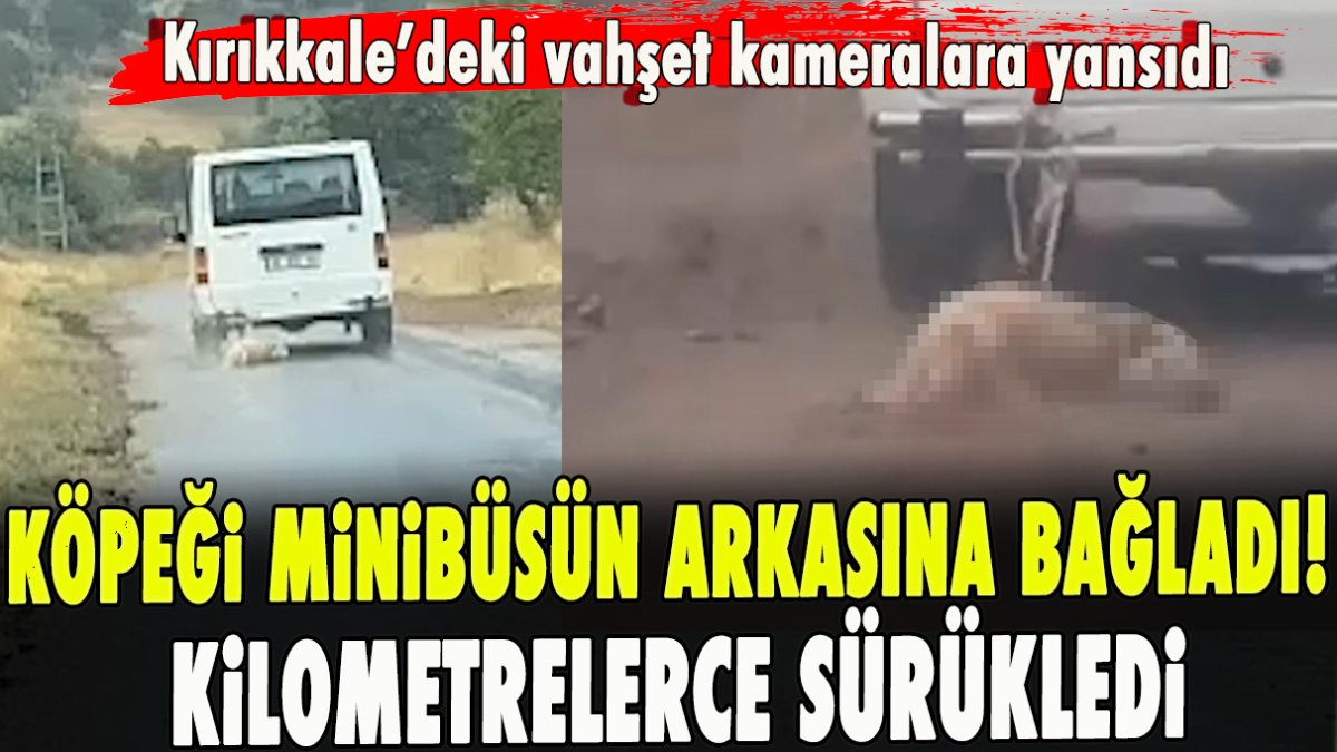 Köpeği minibüsün arkasına bağladı! Kilometrelerce sürükledi