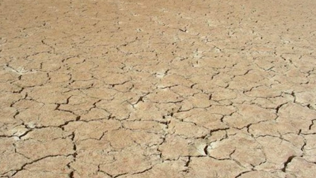 İran'da çölleşme tehlikesi: Tarım ve gıda güvenliği riskte