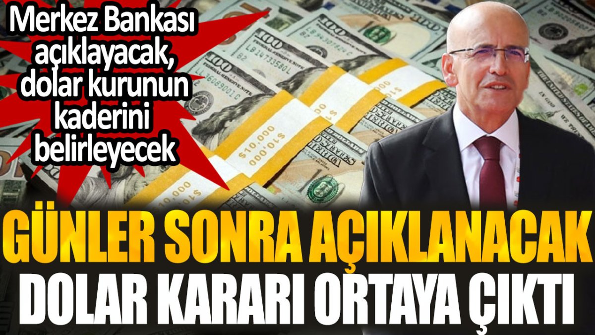 Merkez Bankası'nın günler sonra açıklayacağı dolar kararı ortaya çıktı: Dolar kurunun kaderini belirleyecek