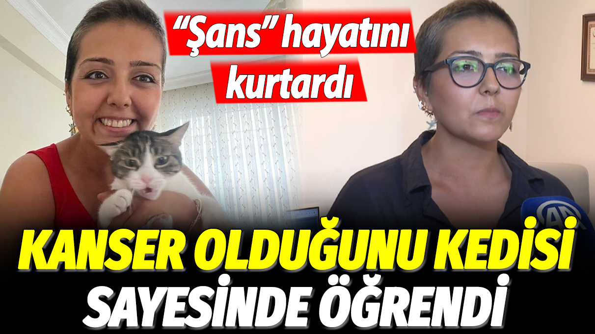 "Şans" hayatını kurtardı: Kanser olduğunu kedisi sayesinde öğrendi