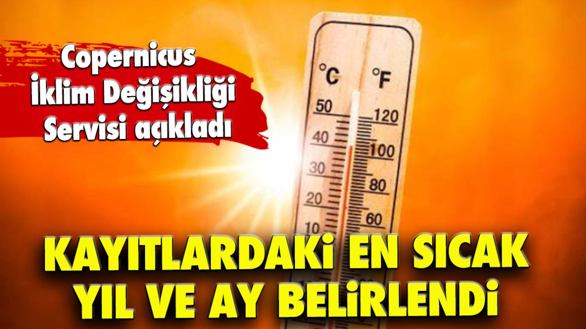 Kayıtlardaki en sıcak yıl ve ay belirlendi