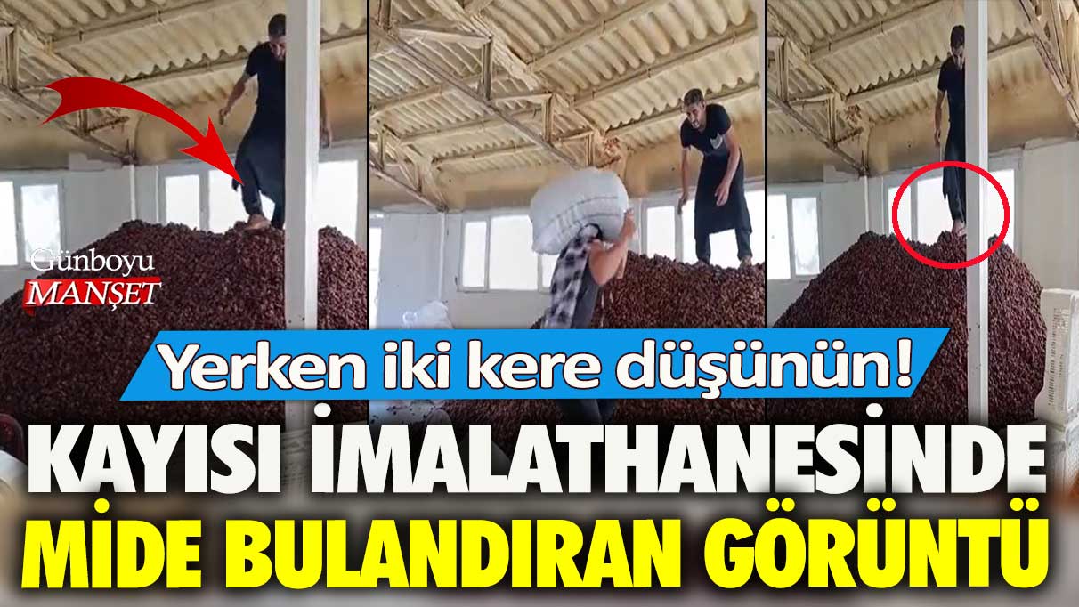 Kayısı imalathanesinde mide bulandıran görüntü: Yerken iki kere düşünün!