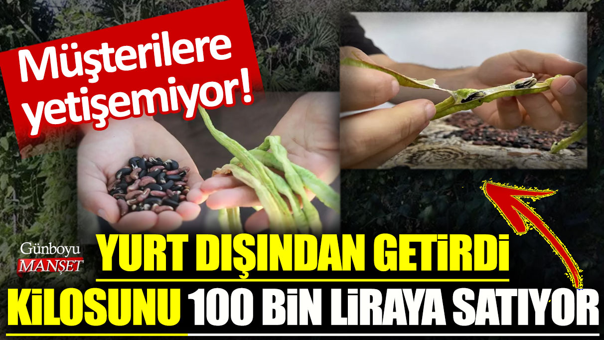 Yurt dışından getirdi kilosunu 100 bin liraya satıyor! Müşterilere yetişemiyor