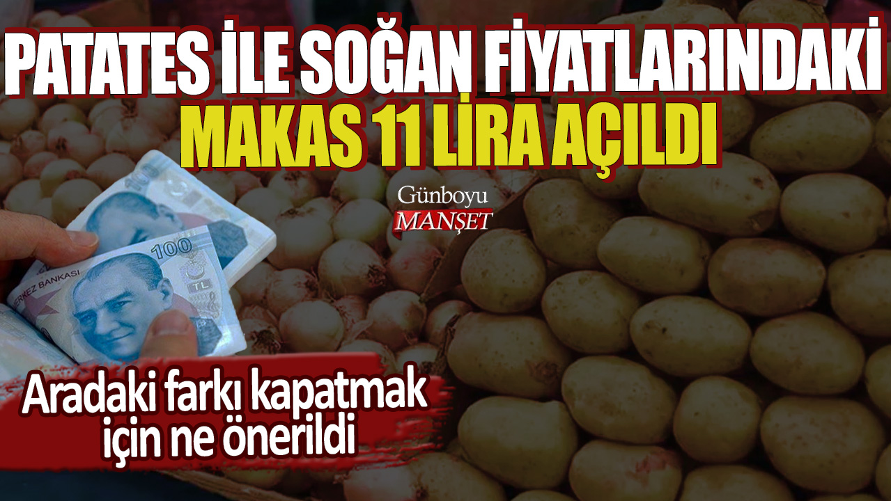 Patates ile Soğan fiyatlarındaki makas 11 lira açıldı! Aradaki farkı kapatmak için ne önerildi