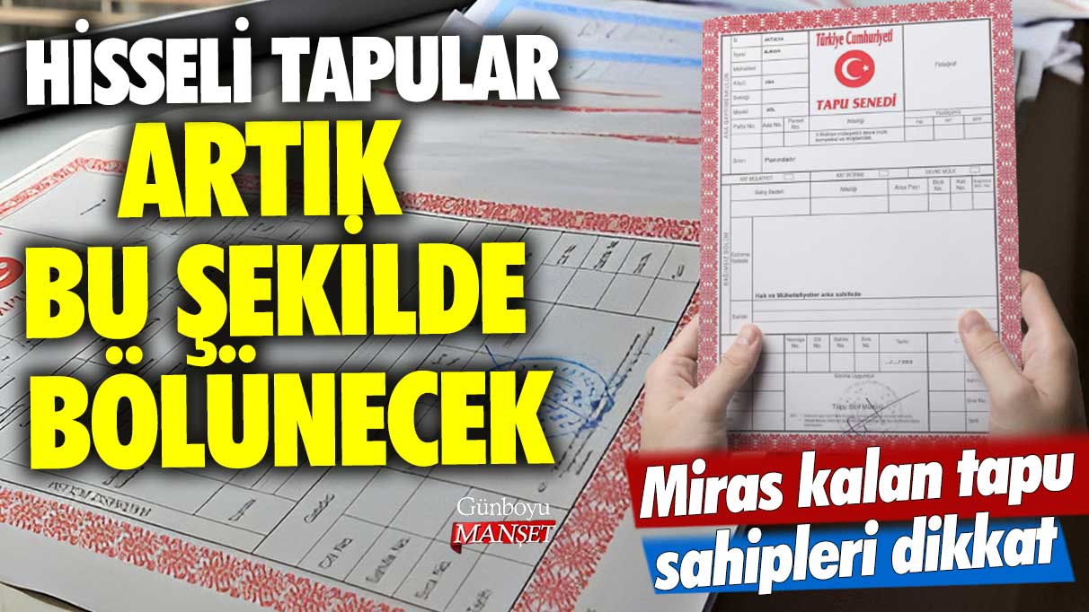 Hisseli tapular artık bu şekilde bölünecek! Miras kalan tapu sahipleri dikkat