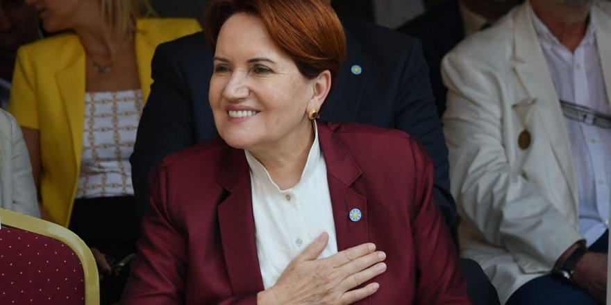 Meral Akşener'den Susurluk paylaşımı