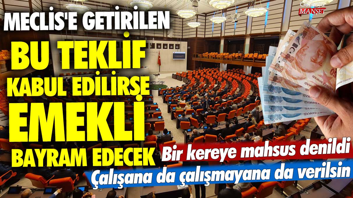 Meclis'e getirilen bu teklif kabul edilirse emekli bayram edecek! Bir kereye mahsus denildi... Çalışana da çalışmayana da verilsin