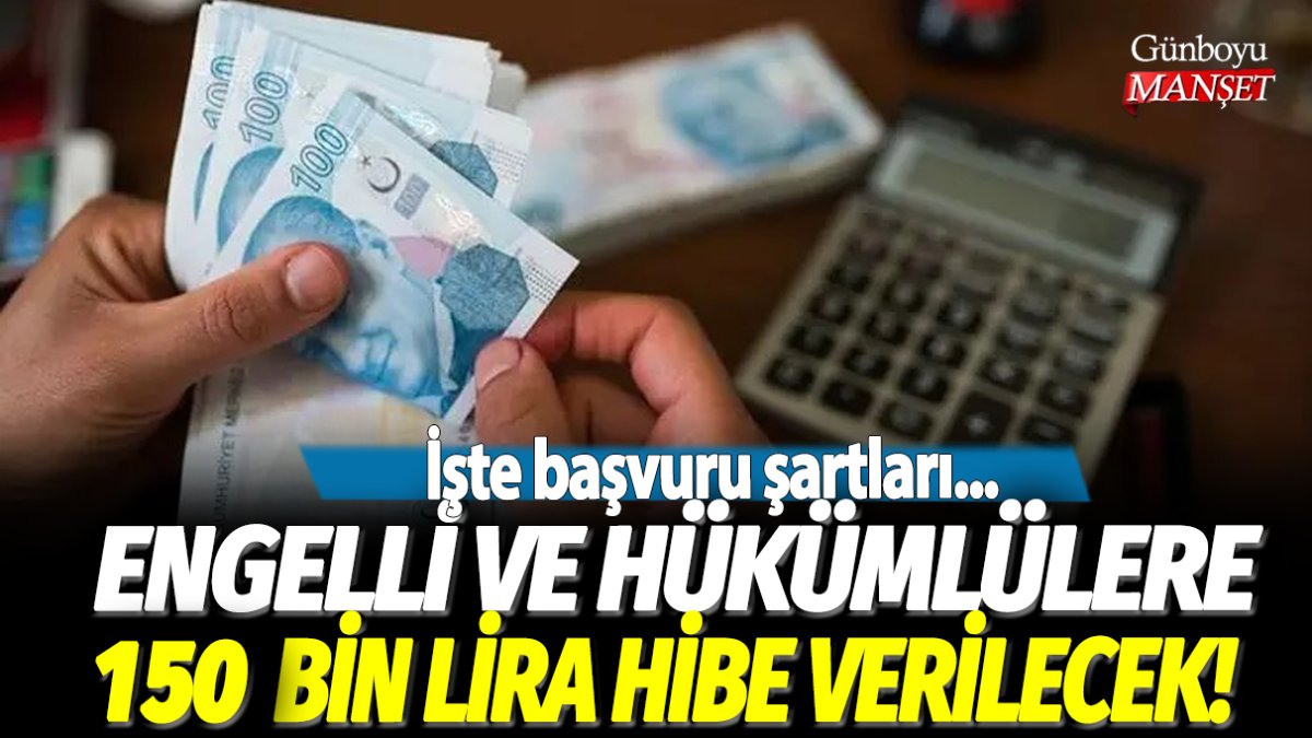 Engelli ve eski hükümlü girişimci adaylarına hibe desteği! 150 bin TL hibe desteğine nasıl başvurulacak?