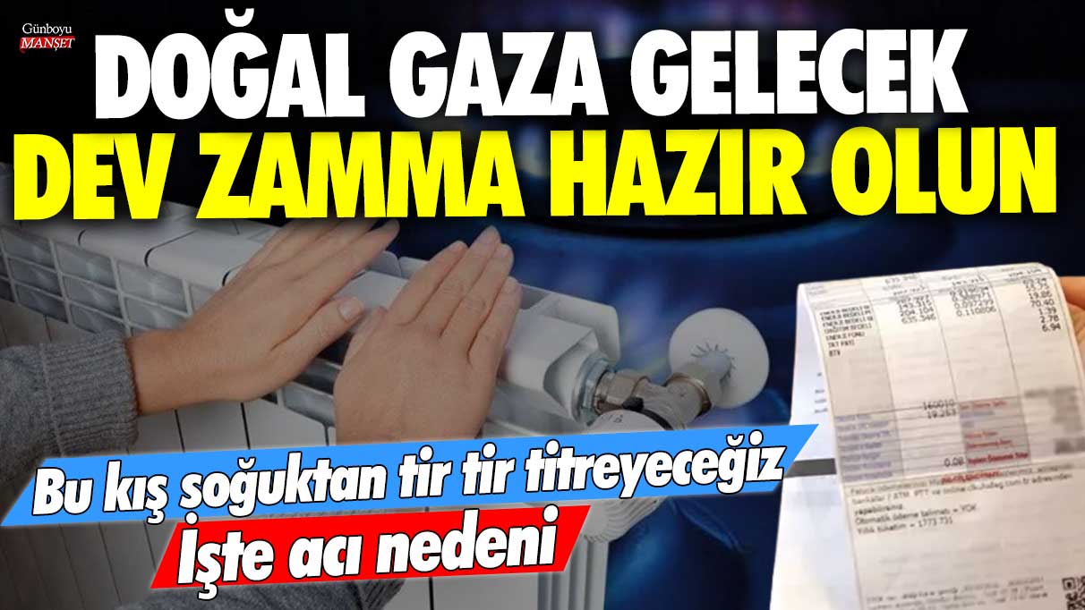 Doğal gaza gelecek dev zamma hazır olun. Bu kış soğuktan tir tir titreyeceğiz! İşte acı nedeni