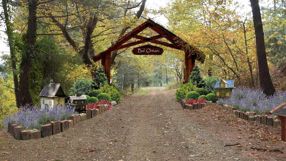 Türkiye’nin en büyük bal ormanı Kazdağları’nda olacak