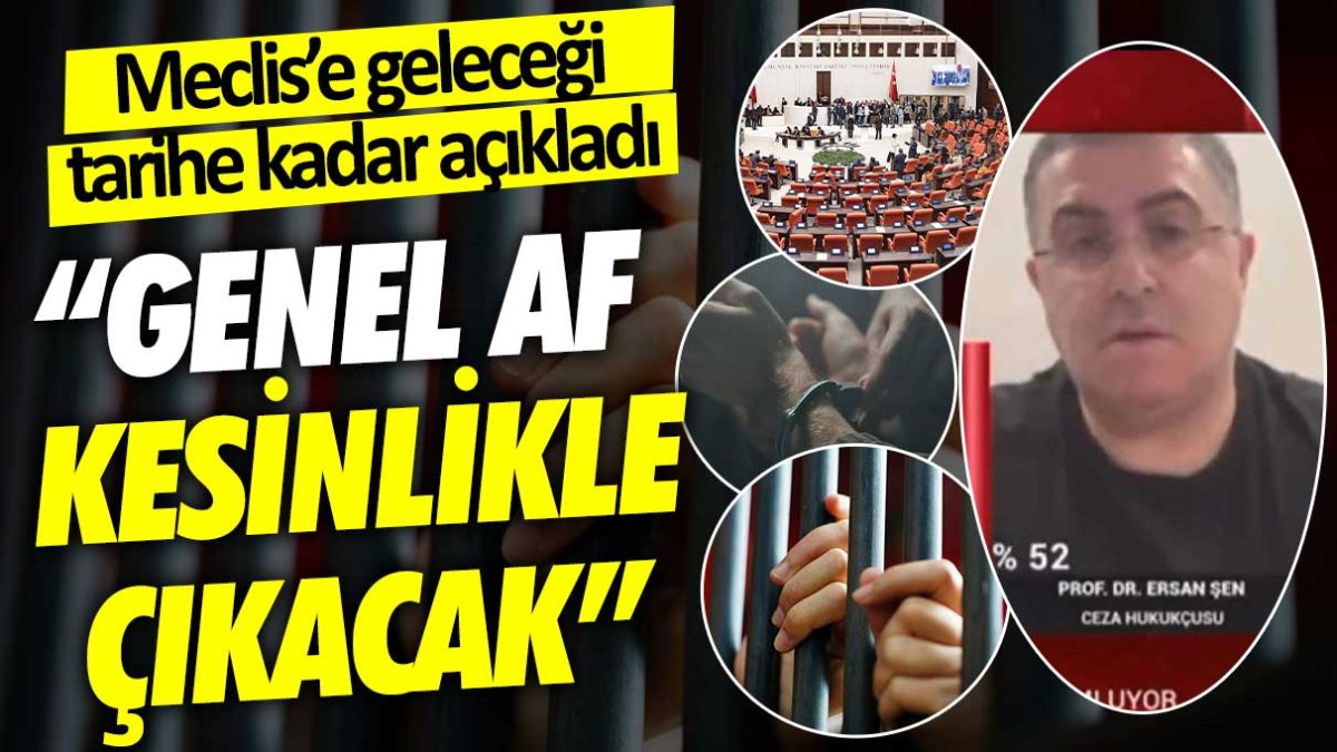 Ünlü hukukçu Ersan Şen af yasası kesinlikle çıkacak dedi: Meclis'e geleceği tarihi açıkladı