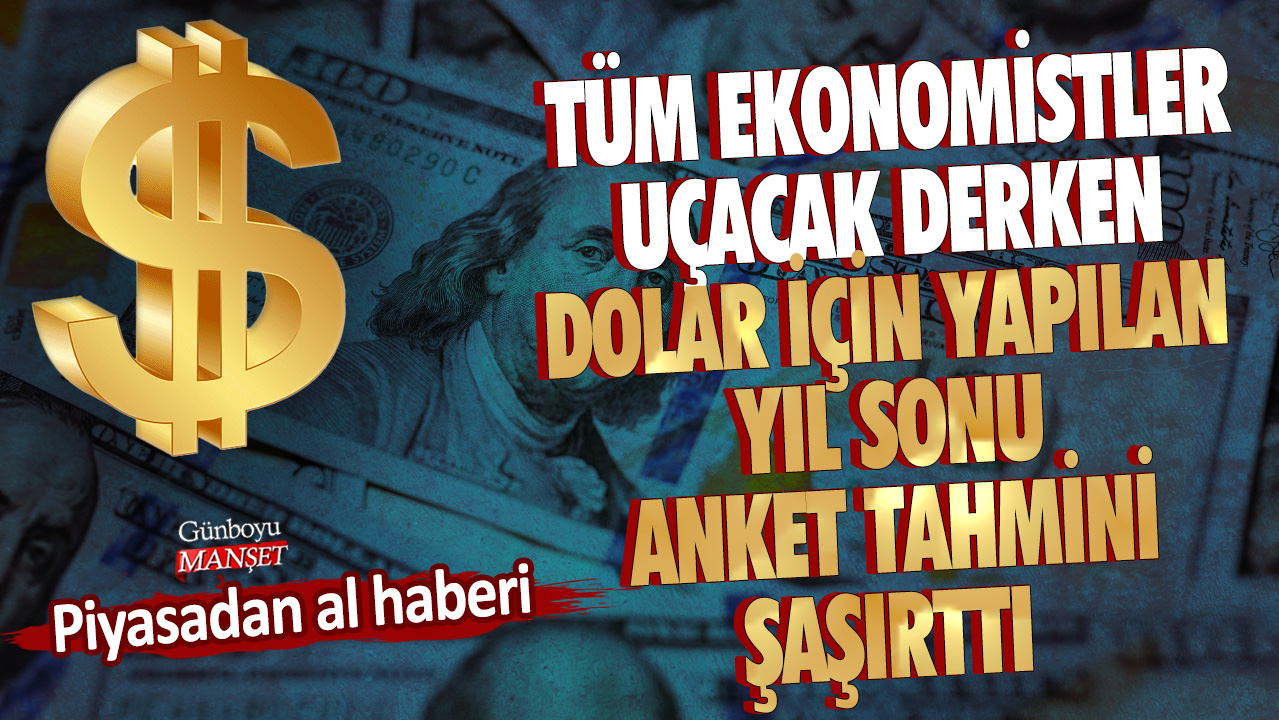 Piyasadan al haberi... Tüm ekonomistler uçacak derken dolar için yapılan yıl sonu anket tahmini şaşırttı