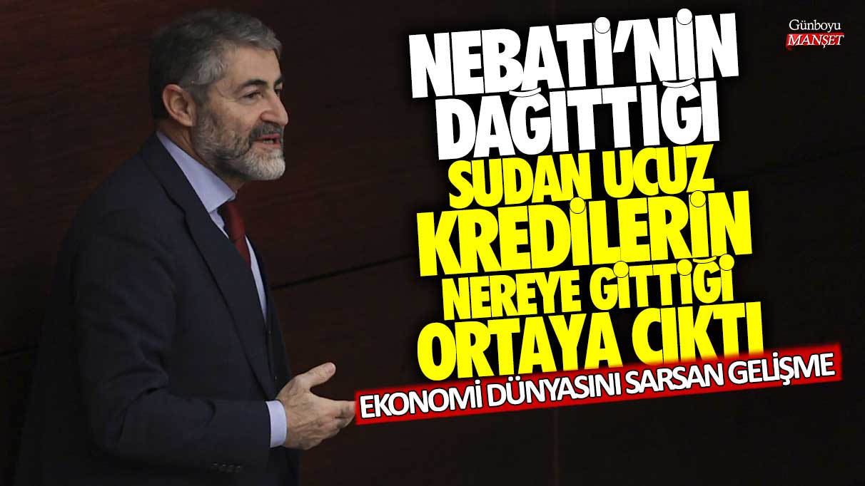 Nurettin Nebati'nin dağıttığı sudan ucuz kredilerin nereye gittiği ortaya çıktı! Ekonomi dünyasını sarsan gelişme