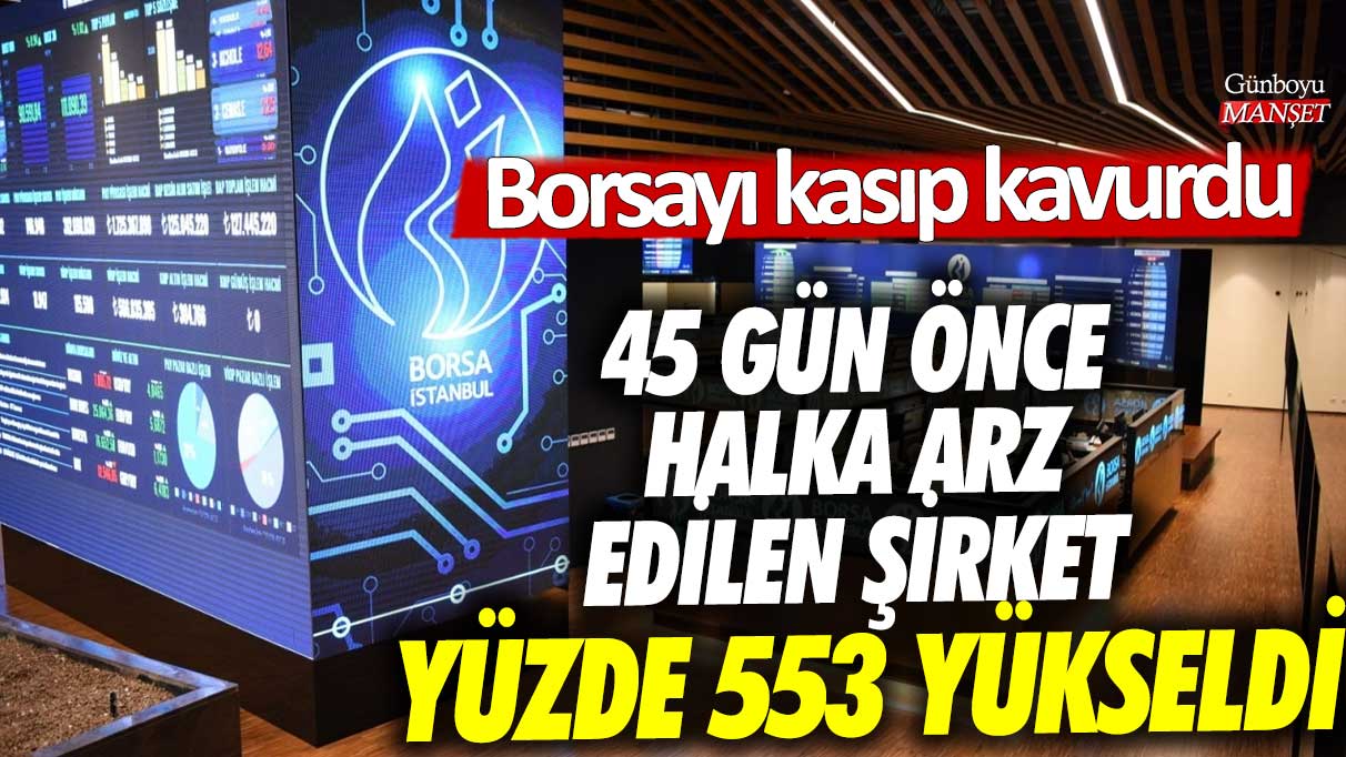 Borsayı kasıp kavurdu! 45 gün önce halka arz edilen şirket yüzde 553 yükseldi