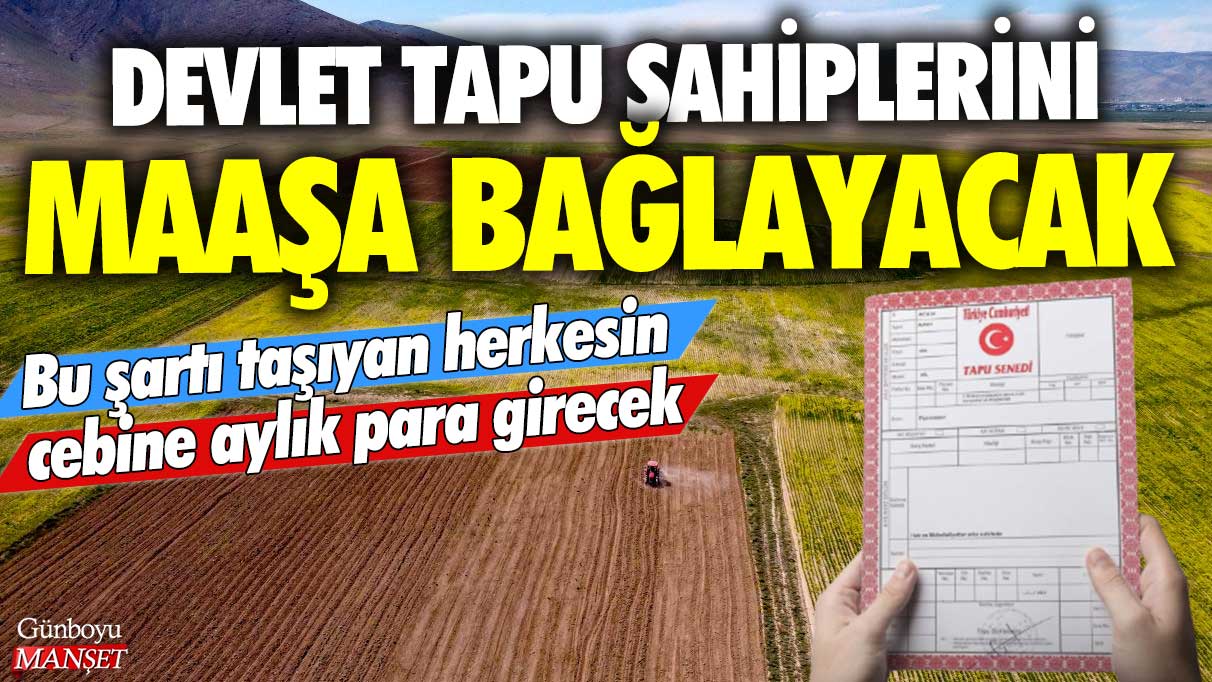 Devlet miras kalan tapu sahiplerini maaşa bağlayacak! Bu şartı taşıyan herkesin cebine aylık para girecek