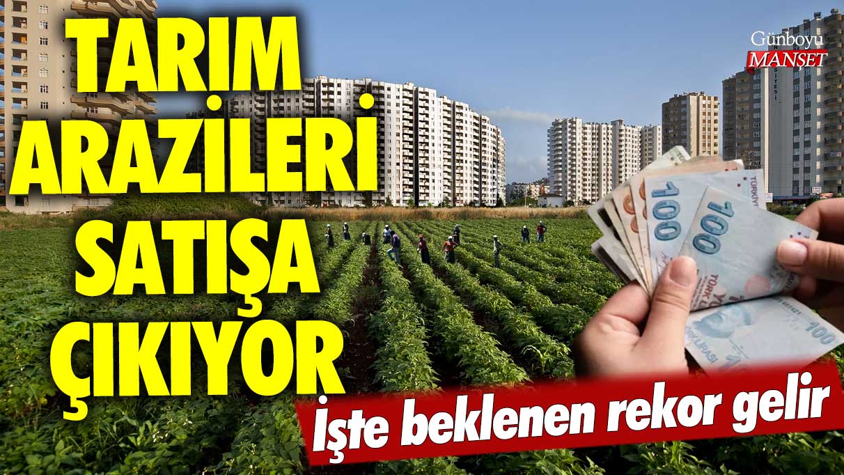 Tarım arazileri satışa çıkıyor! İşte beklenen rekor gelir