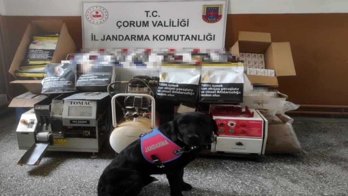 Çorum'da kaçak sigara operasyonu