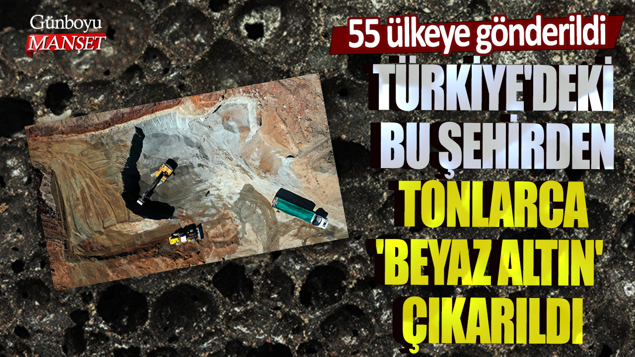 Türkiye'deki bu şehirden tonlarca 'beyaz altın' çıkarıldı! 55 ülkeye gönderildi