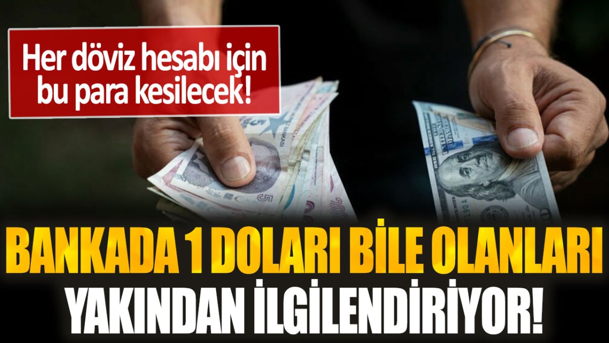 Bankada 1 doları bile olanları yakından ilgilendiriyor... Her döviz hesabı için bu para kesilecek!