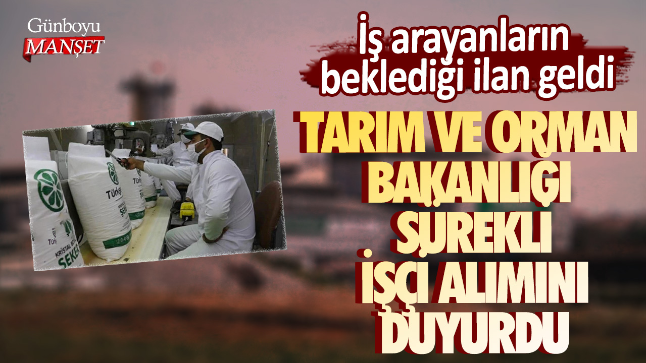 İş arayanların beklediği ilan geldi: Tarım ve Orman Bakanlığı sürekli işçi alımını duyurdu