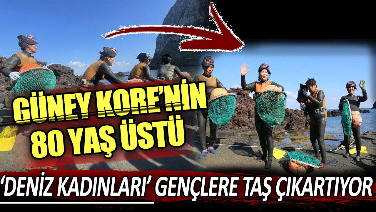 Güney Kore'nin 80 yaş üstü 'deniz kadınları' gençlere taş çıkartıyor