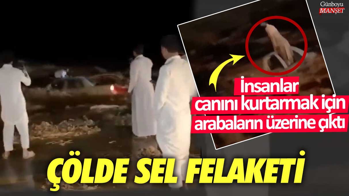 Suudi Arabistan'da çölde sel felaketi! İnsanlar canını kurtarmak için arabaların üzerine çıktı