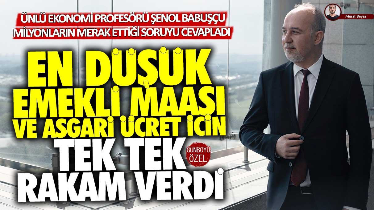 En düşük emekli maaş ve asgari ücret için tek tek rakam verdi! Ekonomi profesörü Şenol Babuşçu milyonların merak ettiği soruyu Günboyu Gazetesi'ne cevapladı