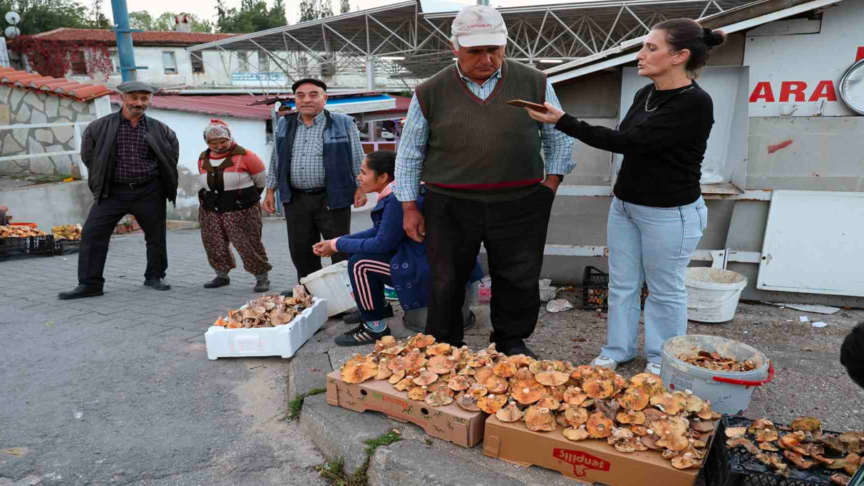 Kuraklığa rağmen Çıntar bolluğu