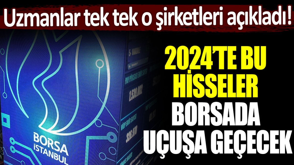 Uzmanlar borsa yatırımcısını uyardı: 2024'te bu hisseler uçuşa geçecek!