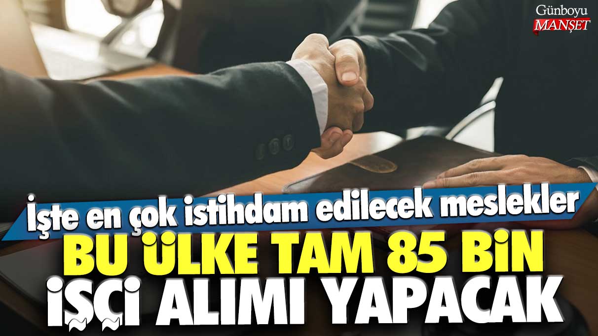 Bu ülke tam 85 bin işçi alımı yapacak: İşte en çok istihdam edilecek meslekler