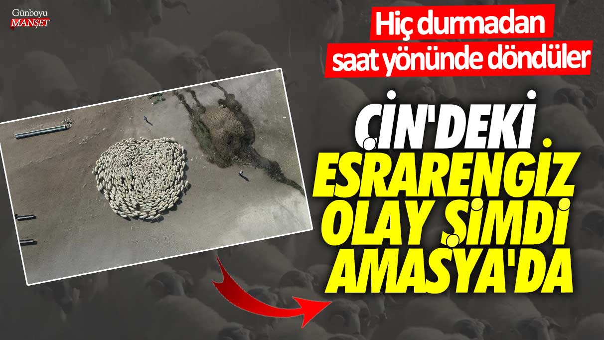 Çin'deki esrarengiz olay şimdi Amasya'da!  Hiç durmadan saat yönünde döndüler