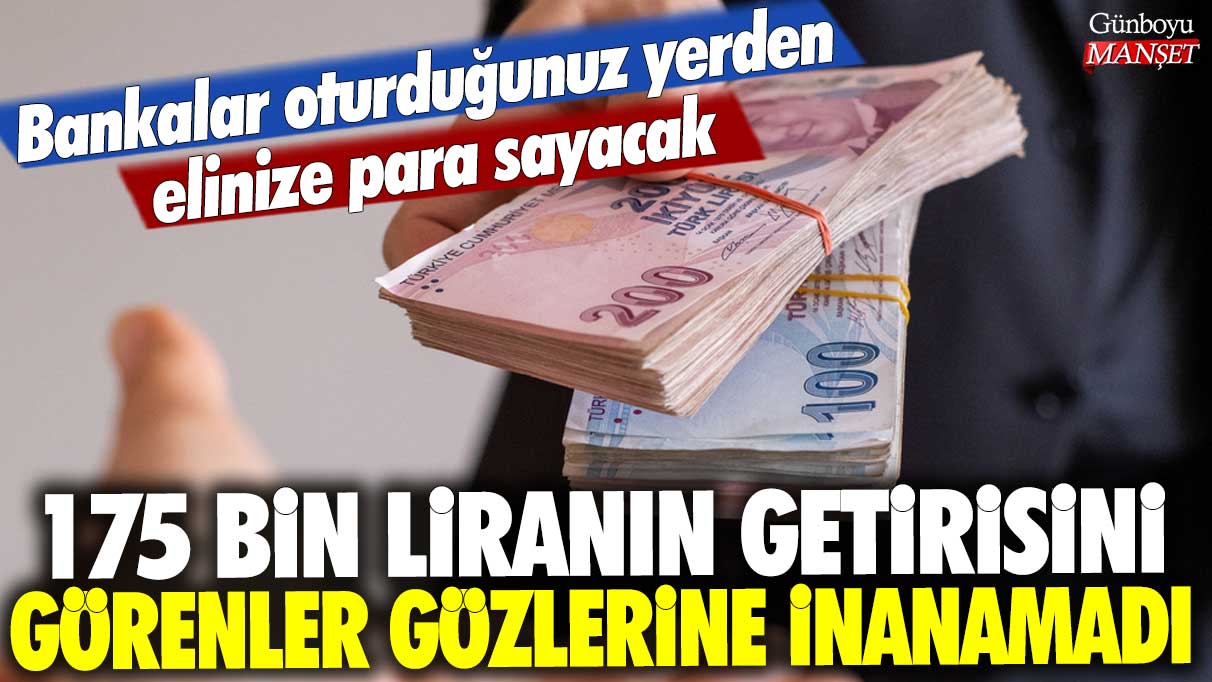 175 bin liranın mevduat getirisini görenler gözlerine inanamadı: Bankalar oturduğunuz yerden elinize para sayacak