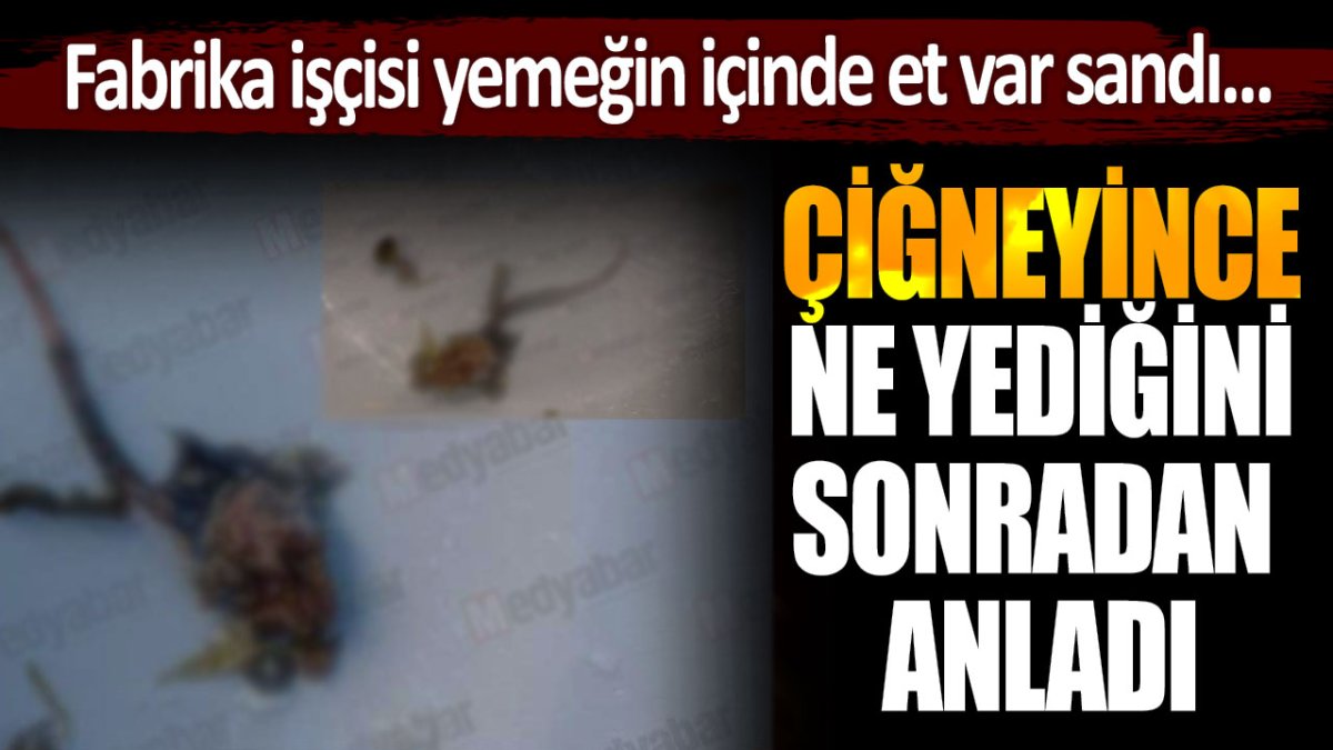 Fabrika işçisi yemeğin içindekini et sandı... Çiğneyince ne yediğini fark etti!