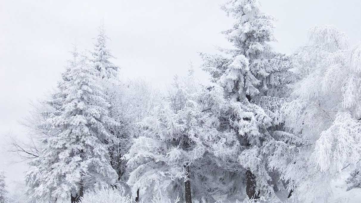 Rüyada kar görmek ne anlama gelir