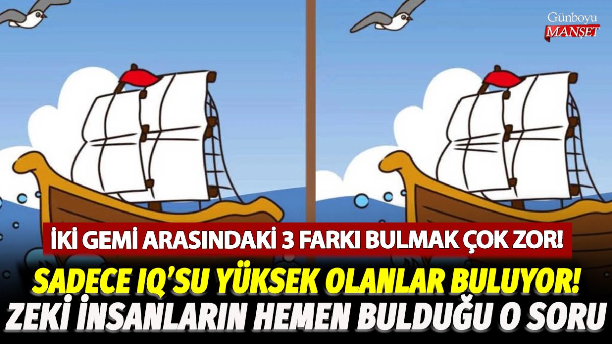 İki gemi arasındaki 3 farkı sadece yüksek IQ'su olanlar buluyor! İşte zeki insanların 12 saniyede yanıtı bulduğu o soru