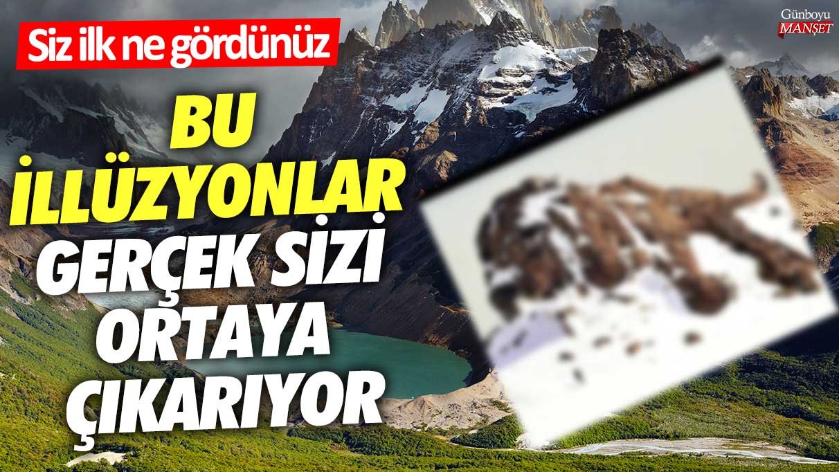 Bu illüzyonlar gerçek sizi ortaya çıkarıyor! Siz ilk ne gördünüz