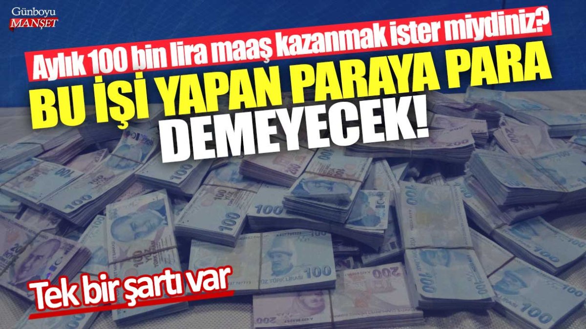 Aylık 100 bin lira maaş kazanmak ister miydiniz? Bu işi yapan paraya para demeyecek! Tek bir şartı var