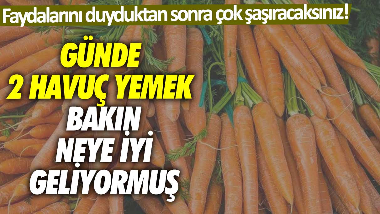 Faydalarını duyduktan sonra çok şaşıracaksınız! Günde 2 havuç yemek bakın neye iyi geliyormuş