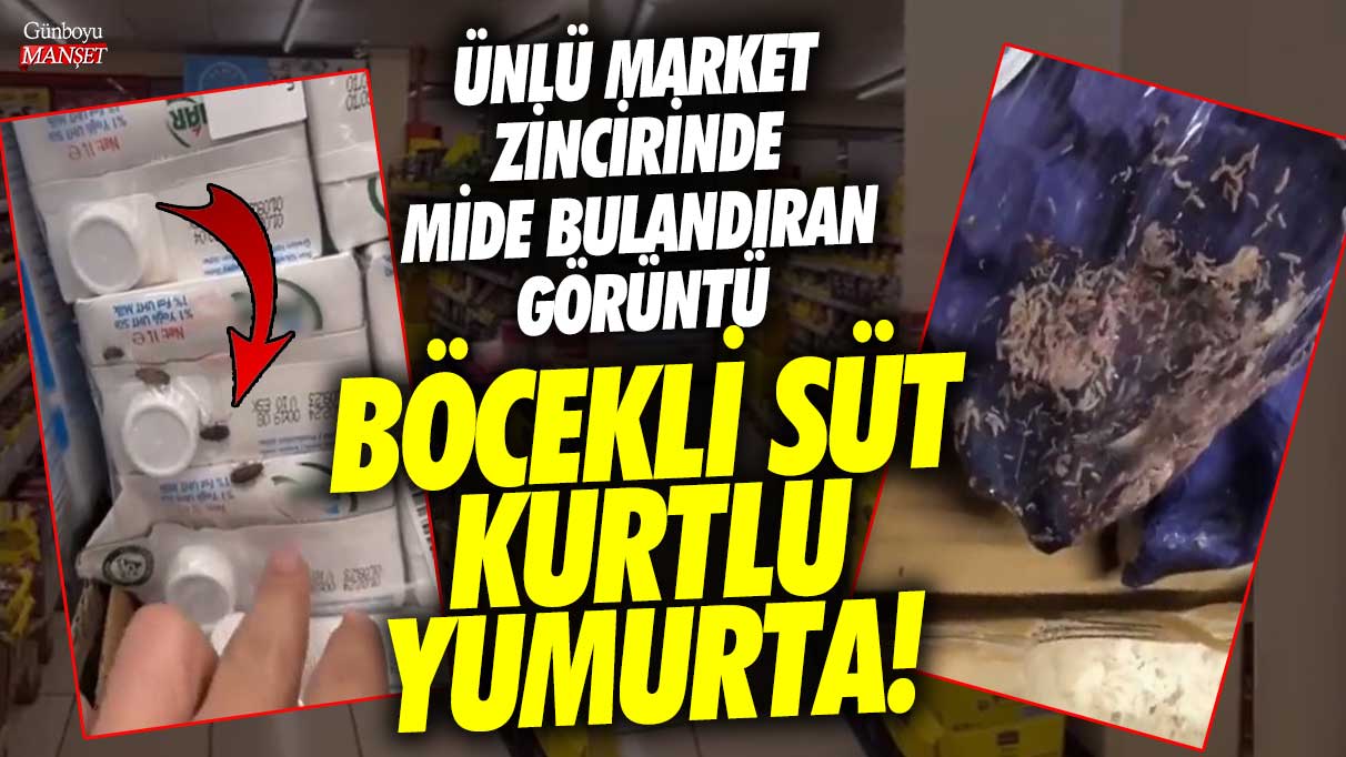 Ünlü market zincirinde mide bulandıran görüntü böcekli süt kurtlu yumurta