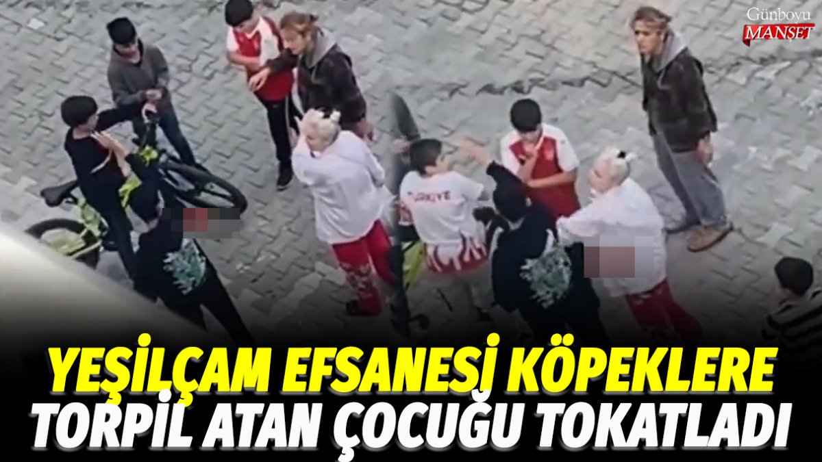 Yeşilçam efsanesi köpeklere torpil atan çocuğu tokatladı!