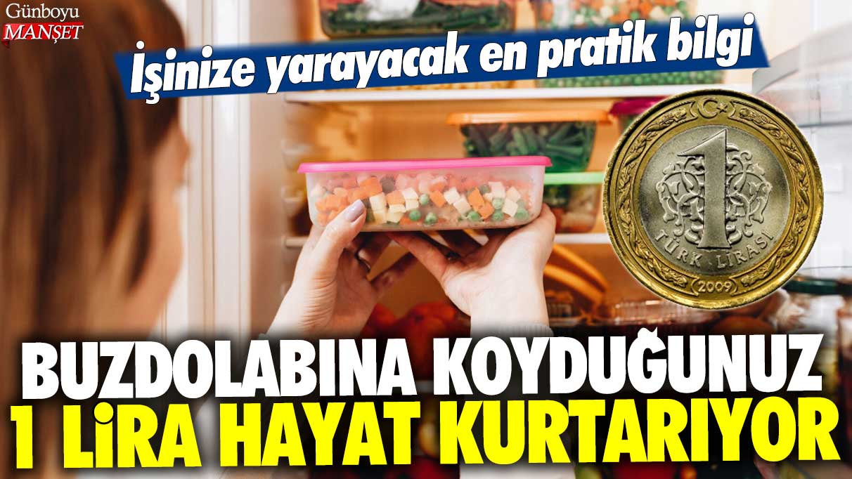 Buzdolabına koyduğunuz 1 lira hayat kurtarıyor: İşinize yarayacak en pratik bilgi