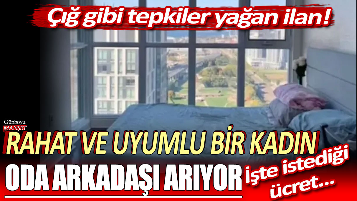 Çığ gibi tepkiler yağan ilan: Rahat ve uyumlu bir kadın oda arkadaşı arıyor... İşte istediği ücret