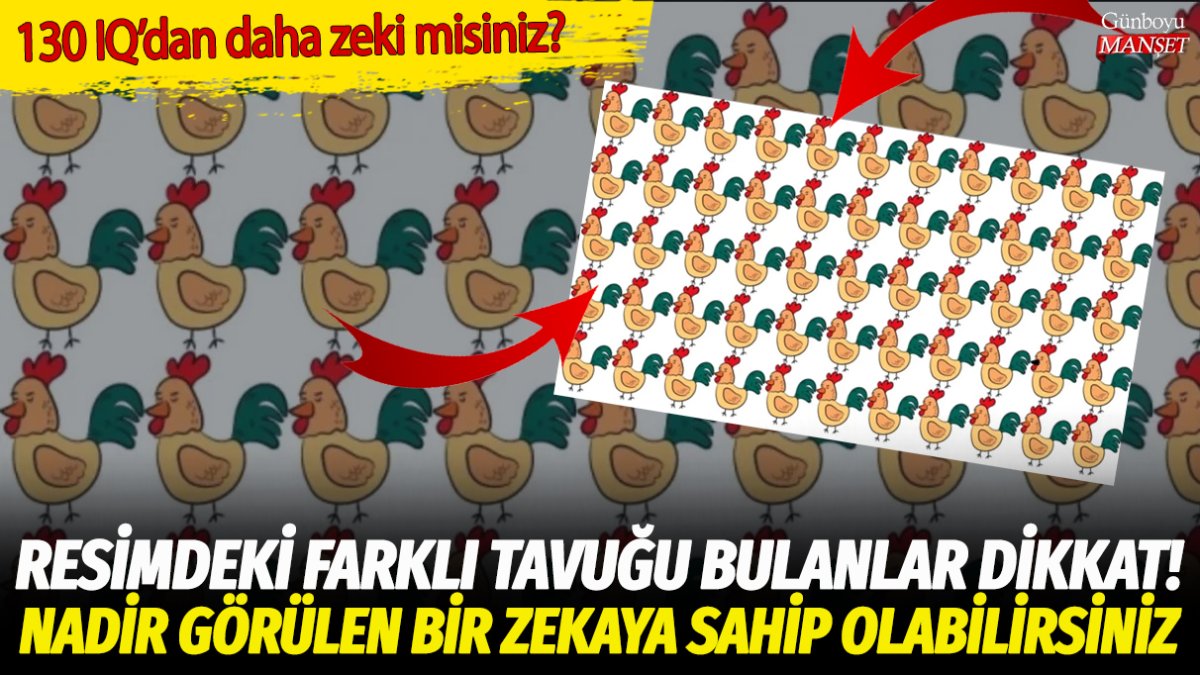 Resimdeki farklı tavuğu bulanlar dikkat! 10 saniyede buluyorsanız 130 IQ'dan yüksek zekaya sahip olabilirsiniz