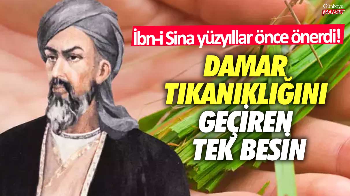 Damar tıkanıklığını geçiren tek besin! İbn-i Sina yüzyıllar önce önerdi