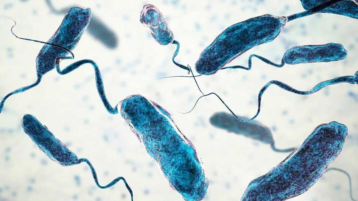 Kolera değil dehidrasyon öldürür